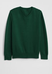 Gap Kids Uniform V-Neck Sweater