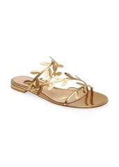 Gianvito Rossi Leaf Slide Sandal