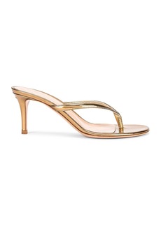 Gianvito Rossi Thong Sandals