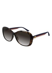Gucci 59mm Gradient Round Sunglasses in Dark Havana/Brown Gradient at Nordstrom