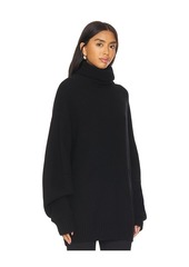 Helmut Lang Apex Chunky Turtleneck