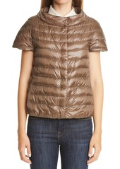 Herno Short Sleeve Down Puffer Jacket in Chestnut at Nordstrom
