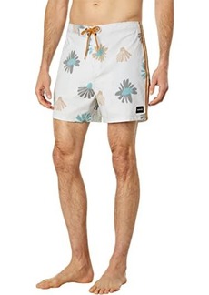 Hurley Naturals Sessions 16" Boardshorts