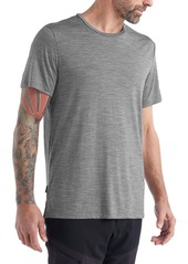 Icebreaker Men's Sphere II Short Sleeve T-Shirt, Small, Black
