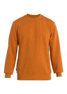 Icebreaker Merino Men's Standard Central Long Sleeve Casual Wool Lounge Sweatshirt