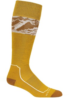 Icebreaker Women's Merino Ski+ Light Over the Calf Alps 3D Socks, Medium, Silent Gold/Clove/Snow | Father's Day Gift Idea