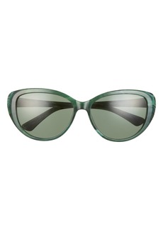 Isaac Mizrahi New York 56mm Fox Sunglasses in Green at Nordstrom Rack