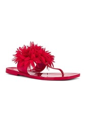 Jeffrey Campbell Pollinate Sandal