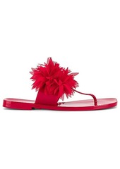 Jeffrey Campbell Pollinate Sandal