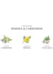 Jo Malone London Mimosa & Cardamom Cologne, 3.4-oz.