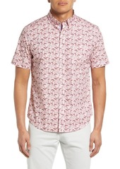 Johnston & Murphy Flamingos Short Sleeve Cotton Button-Down Shirt in Pink Flamingo at Nordstrom