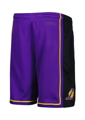 Big Boys Jordan Purple Los Angeles Lakers Statement Edition Swingman Performance Shorts - Purple