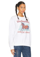 Junk Food Budweiser Clydesdale Sweater