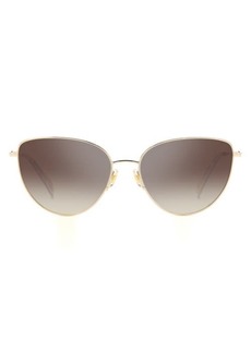kate spade new york 55mm hailey/g/s cat eye sunglasses