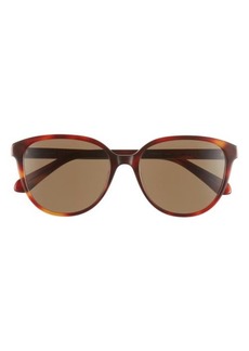Kate Spade New York vienne 53mm polarized cat eye sunglasses
