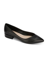Kenneth Cole Women's Camelia Pointed Toe Flats