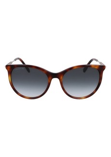 Lacoste 54mm Gradient Oval Sunglasses