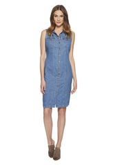 levis aubrey denim dress