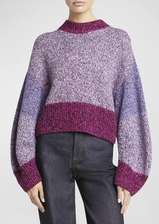 Loewe Colorblock Crewneck Crop Sweater