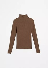 LOFT Ribbed Turtleneck Sweater