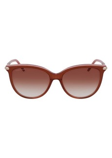 Longchamp Tea Cup 54mm Sunglasses