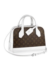 Louis Vuitton Dora Small Bag