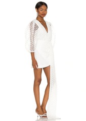 Lovers + Friends Lovers and Friends Alize Mini Dress