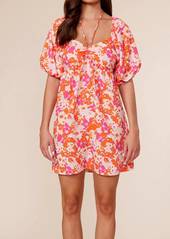 Lucy Toulouse Floral Dress