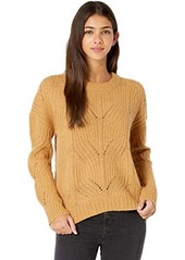 Madewell Fawn Pointelle Pullover Sweater