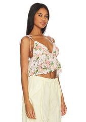 MAJORELLE Chrishelle Crop Top