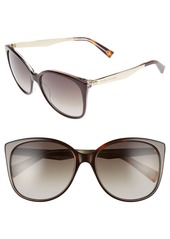 The Marc Jacobs MARC JACOBS 56mm Gradient Lens Butterfly Sunglasses in Dark Havana at Nordstrom