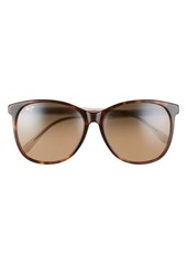 Maui Jim Isola 58mm PolarizedPlus2® Cat Eye Sunglasses in Tortoise/Transparent Tan at Nordstrom