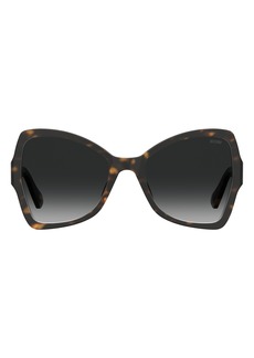 Moschino 54mm Butterfly Sunglasses in Havana/Grey Shaded at Nordstrom Rack