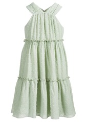 Nannette Big Girls Jacquard Clip-Dot Chiffon Dress - Green