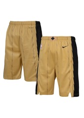 Big Boys Nike Gold Toronto Raptors 2023/24 City Edition Swingman Performance Shorts - Gold