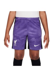 Big Boys Nike Purple Liverpool 2023/24 Third Stadium Performance Shorts - Purple