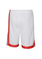 Big Boys Nike White Brooklyn Nets Hardwood Classics Swingman Shorts - White