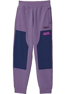 Nike Lebron Bball Graphic 2 Pants (Little Kids/Big Kids)