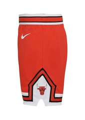 Little Boys and Girls Nike Red Chicago Bulls Icon Replica Shorts - Red
