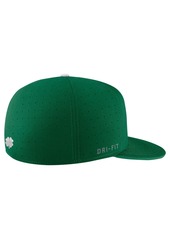 Men's Nike Green Michigan Wolverines St. Patrick's Day True Fitted Performance Hat - Green