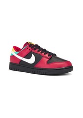 Nike Dunk Low Retro Ltd