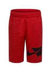 Nike Little Boys Dri-fit Colorblocked Shorts