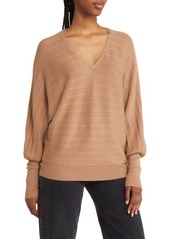 Nordstrom V-Neck Sweater