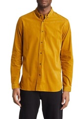 Oliver Spencer Camden Regular Fit Organic Cotton Corduroy Button-Down Shirt
