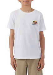 O'Neill Kids' Shaved IceGraphic Tee