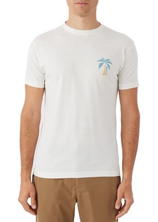 O'Neill Men's Rocker Graphic T-Shirt, Small, White