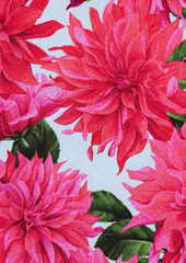 Oscar de la Renta - Floral-print cotton-blend top - Pink - S