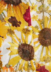 Oscar de la Renta - Floral-print silk-chiffon blouse - Yellow - US 4
