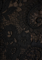 Oscar de la Renta - Tulle-paneled corded lace midi dress - Black - US 0