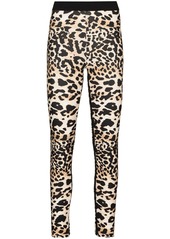 Paco Rabanne leopard print stretch-fit leggings